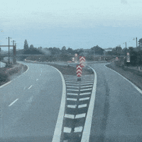Great Danes Denmark GIF