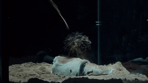 What Are You Waiting For Pokimane GIF by d4vd