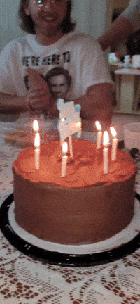 Happy Birthday Party GIF by No Cheese Records