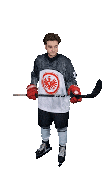EishockeyEintrachtFrankfurt eintracht frankfurt frankfurt eishockey eisadler Sticker