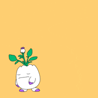 Paying Black Friday GIF by Magic Eden