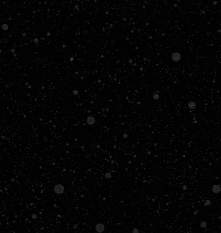 Homerles giphygifmaker logo GIF