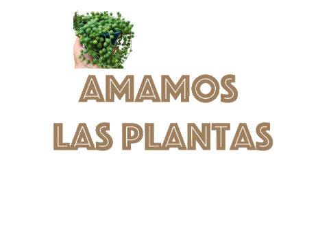 eljardinderocco giphyupload plantas amamos eljardinderocco Sticker