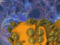 Animated GIF by bbqshoes