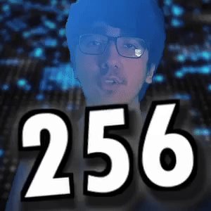 256