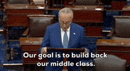 Chuck Schumer GIF by GIPHY News