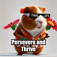 Wisdom Perseverance GIF by Guinea Gambino