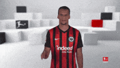 See You Goodbye GIF by Bundesliga