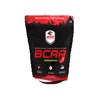 Rocket Fuel Moto Sticker by Mitch Robinson