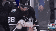 nhl sports sport cute hockey GIF