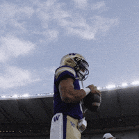 Bow Down University Of Washington GIF by Washington Athletics