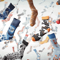 Happy Hamster GIF by Dedoles