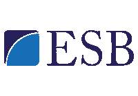 Who Are We International Business Sticker by IB Vision ESB