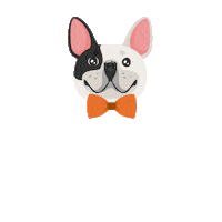 Best Friends Pride Sticker by Petland Florida