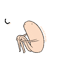 ladyaxolotl no Sticker by Sophie Corrigan