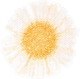 Mothers Day Flower Sticker by CSDSocialMedia