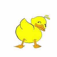 Rtq GIF