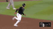 Snakes Diamondbacks GIF