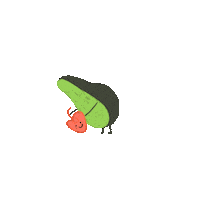 Avocado Sticker
