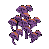 vicreg tarot mushrooms hongos fulgor Sticker