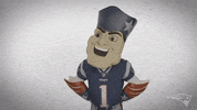 Oh Stop I Got It GIF by New England Patriots