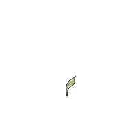 Life Plant Sticker