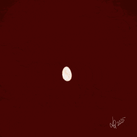 Digital Art Owl GIF