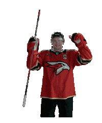 Goal Hockey Sticker by Avangard