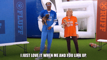 I Can't Wait For The Puppy Bowl