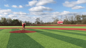 setonhilluniversity griffins seton hill seton hill university go griffins GIF