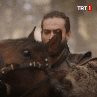 War Horse GIF by TRT