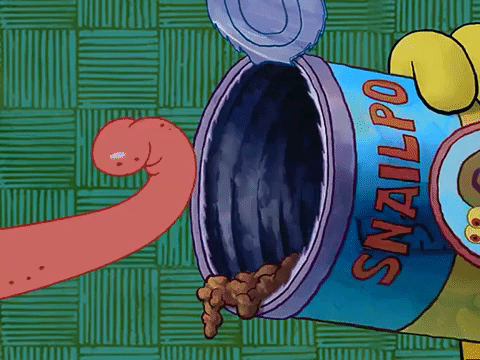 season 3 missing identity GIF by SpongeBob SquarePants