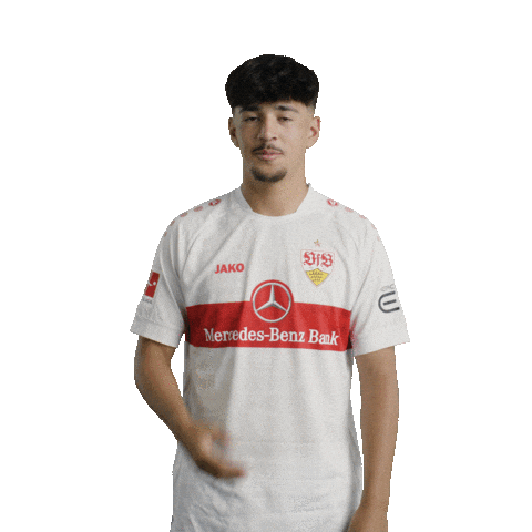 Lets Go Football Sticker by VfB Stuttgart