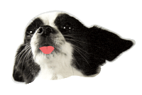 bueroost buero ost bueroost uuuwwweee Sticker