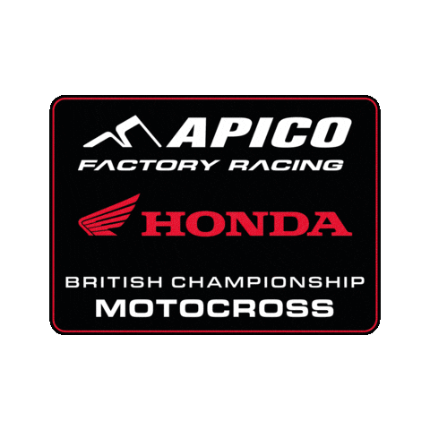 Honda Racing Sticker by ApicoFactoryRacing
