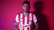 Sanluis Adsl GIF by Atlético de San Luis