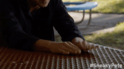 season 1 GIF by Sneaky Pete