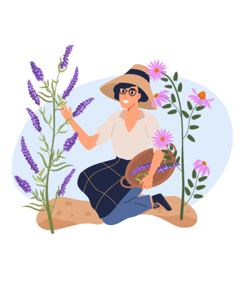 Dervital giphyupload natural lavanda dervital Sticker