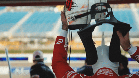 Formula E Racing GIF by Nissan Motorsport