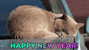 あけましておめでとう Happy New Year GIF by Squirrel Monkey