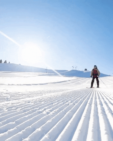 Chatel_officiel giphygifmaker lets go mountain ski GIF
