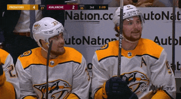 ice hockey lol GIF by NHL