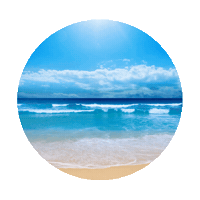 beach STICKER by imoji