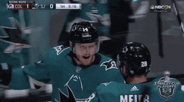 happy ice hockey GIF by NHL