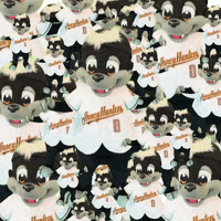 Excited Baseball GIF by gohoneyhunters