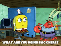 season 6 GIF by SpongeBob SquarePants