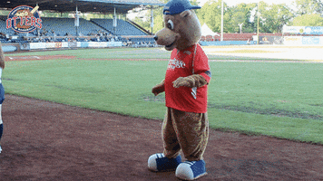 EvansvilleOtters happy fun dancing excited GIF
