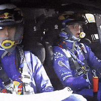 Team Driving GIF by FIA World Rally Championship