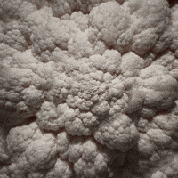 food porn wtf GIF by Feliks Tomasz Konczakowski