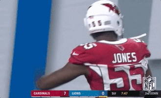 Arizona Cardinals Football GIF by NFL